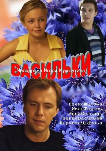 Васильки (2013)